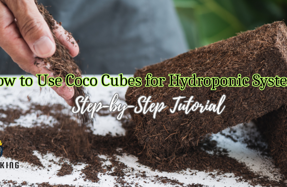 How to Use Coco Cubes for Hydroponic Systems: Step-by-Step Tutorial